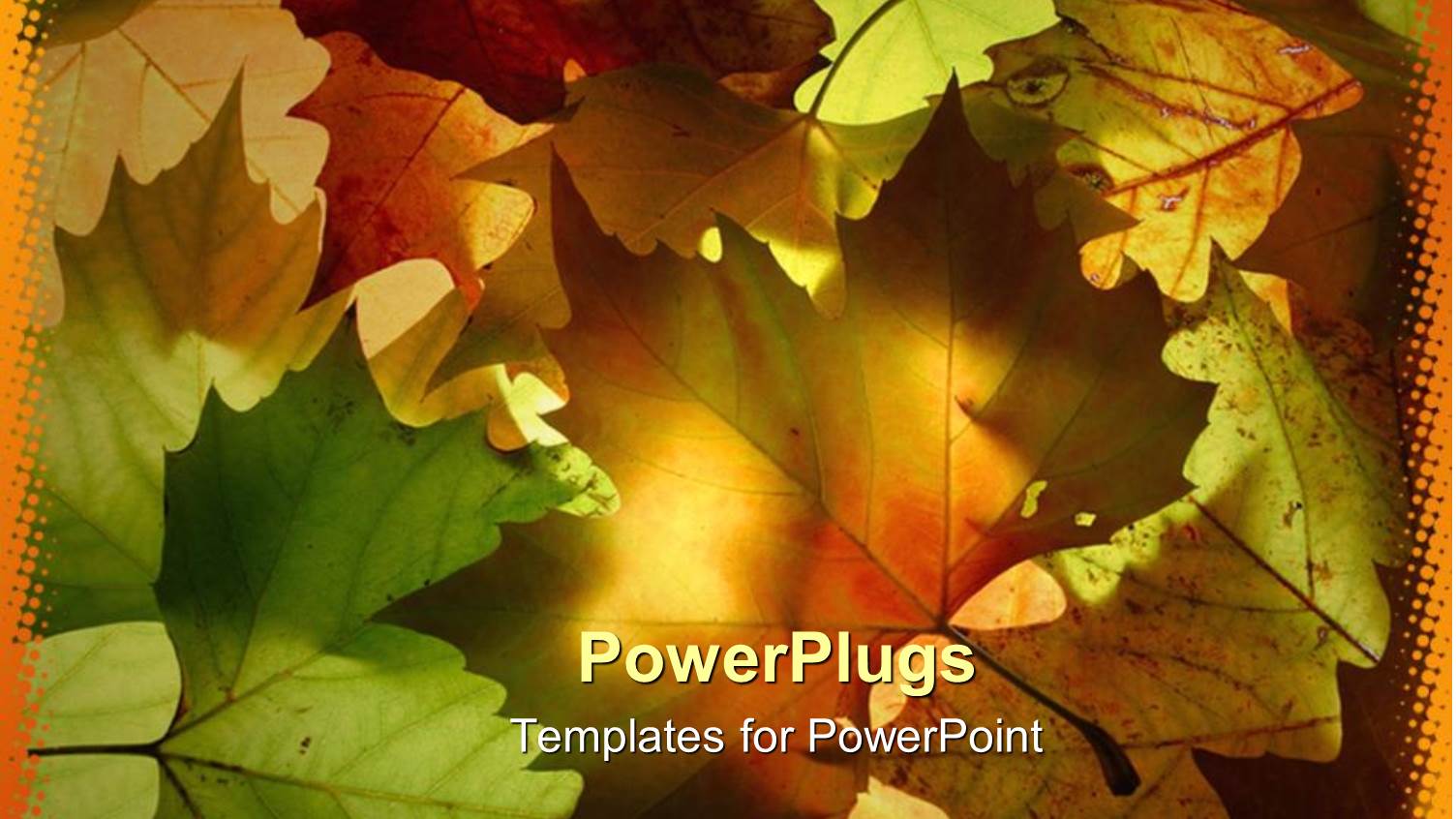 a Number of Leaves with Sunshine