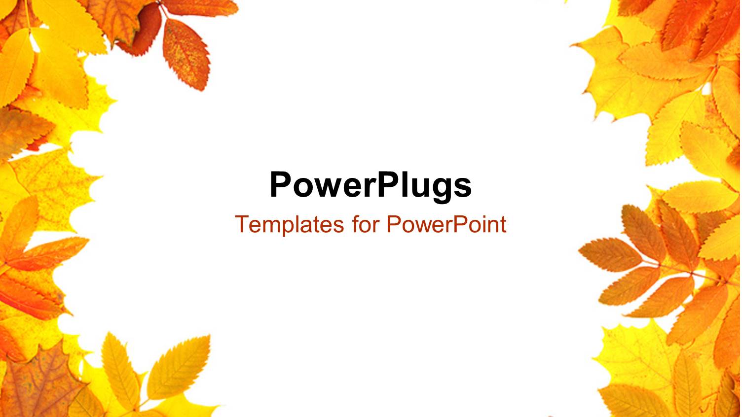 a Number of Leaves with White Background