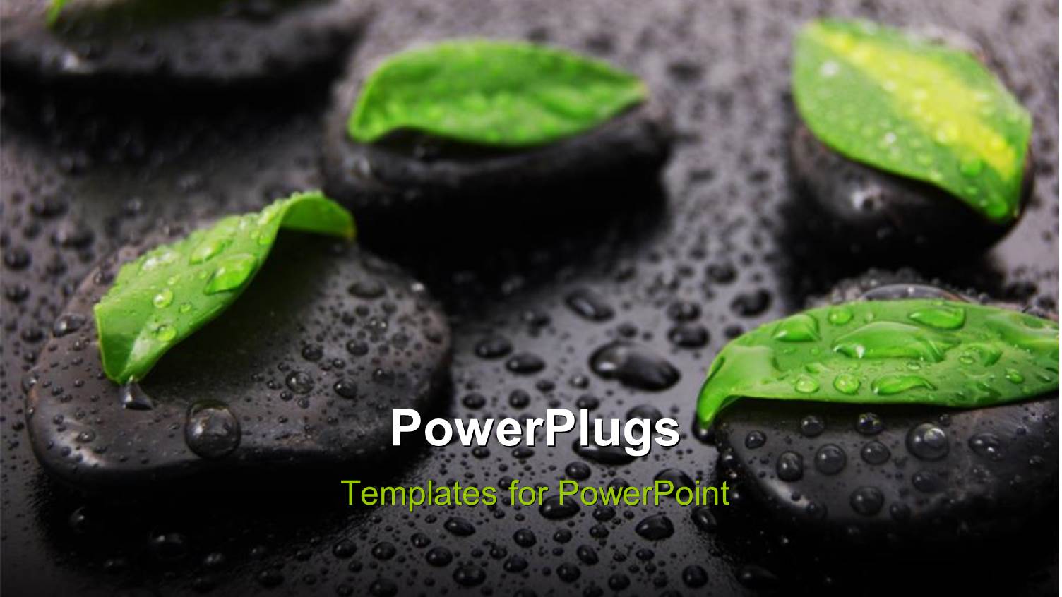 a Number of Leaves with Zen Stones