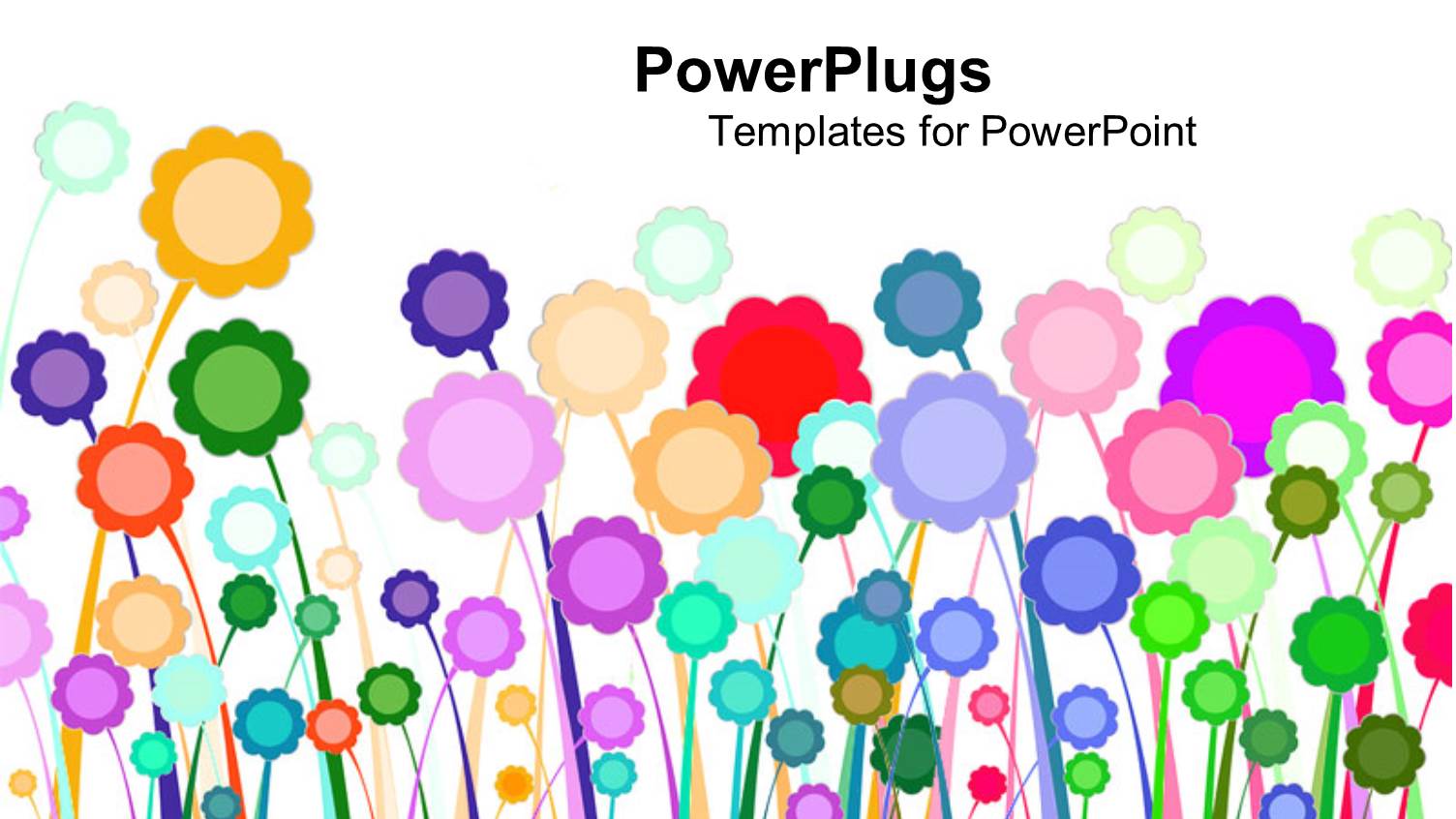 a Number of Multi-Colored Flowers with White Background