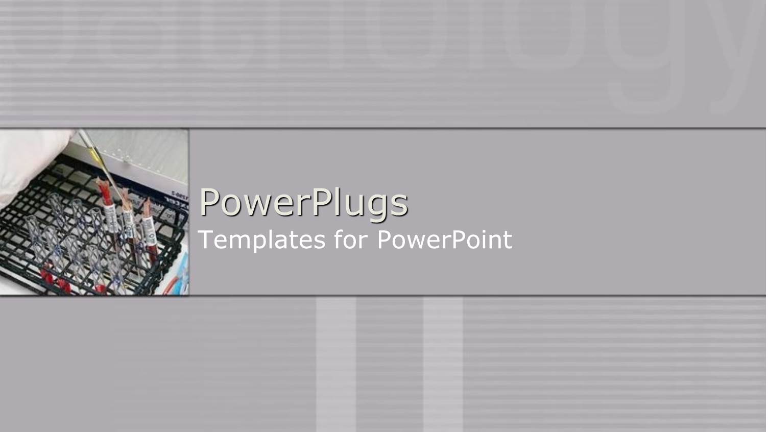 a Number of Paint Brushes with Grayish Background