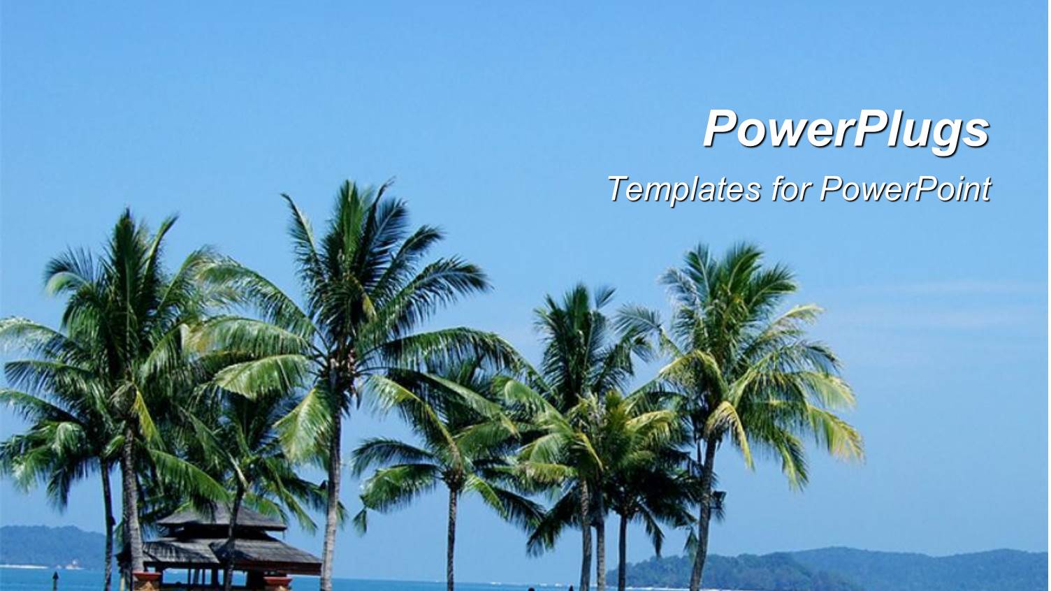 a Number of Palm Trees on a Beach