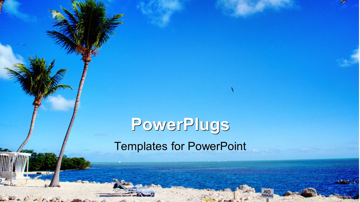 a Number of Palm Trees with Sea in the Background