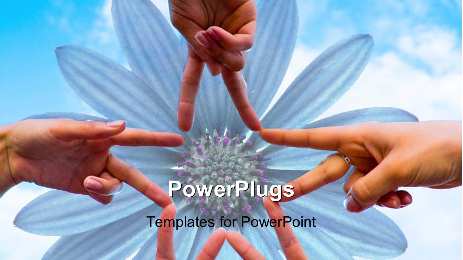 a Number of People Depicting a Flower with Sky in the Background