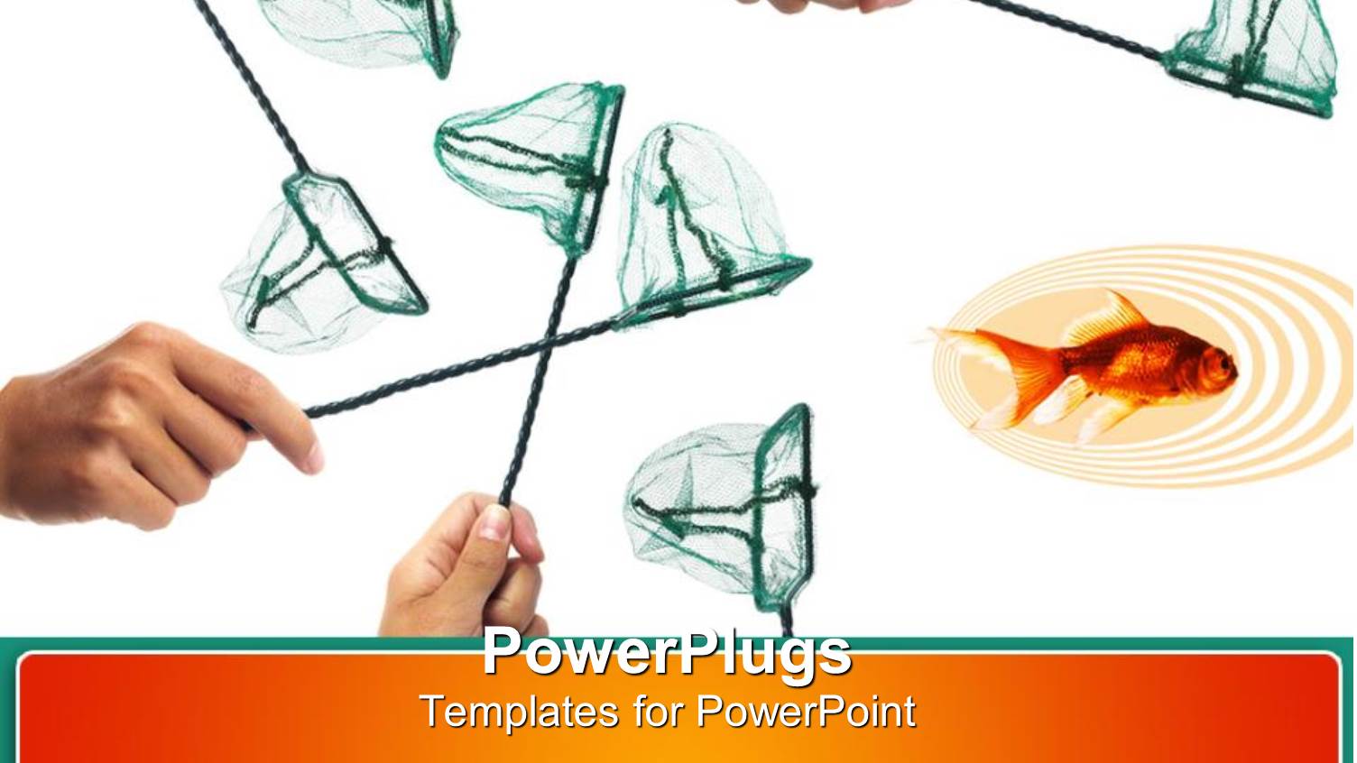 a Number of People Trying to Catch the Fish