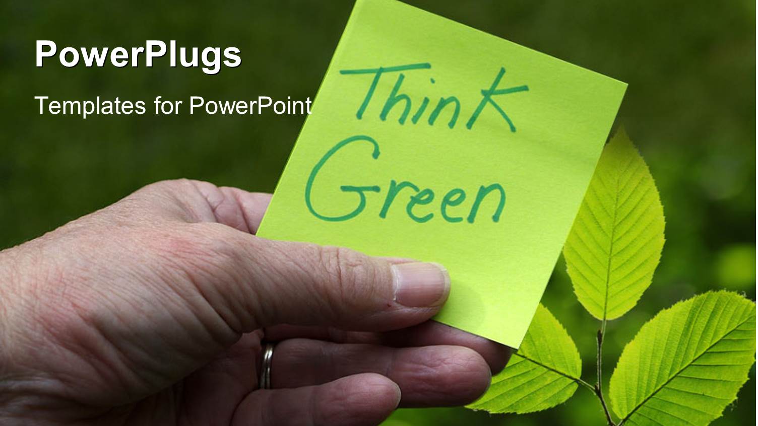 a Number of Plants with Greenish Background