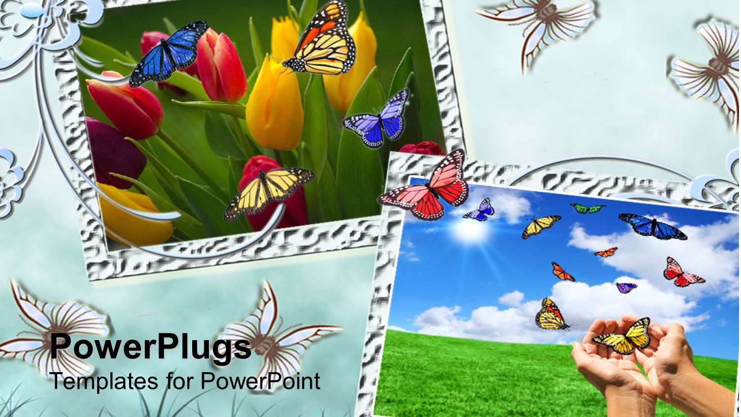 a Number of Roses with Greenish Background