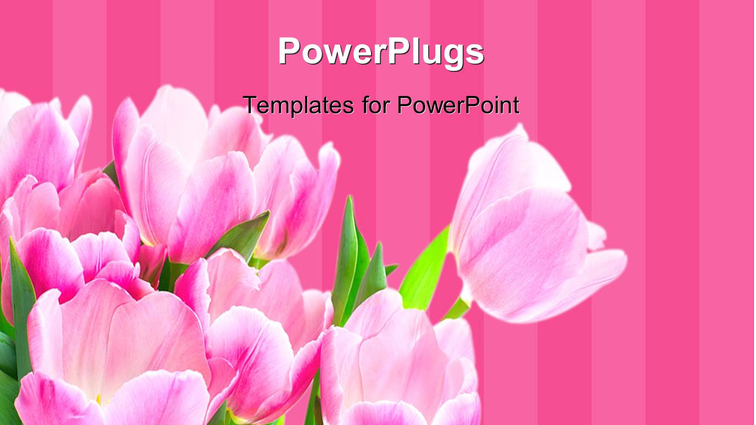 a Number of Roses with Pinkish Lines in the Background