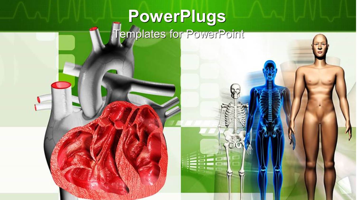 a Number of Skeletons and a Heart