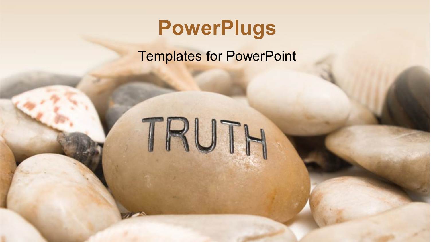 a Number of Stones and Shells with Pinkish Background