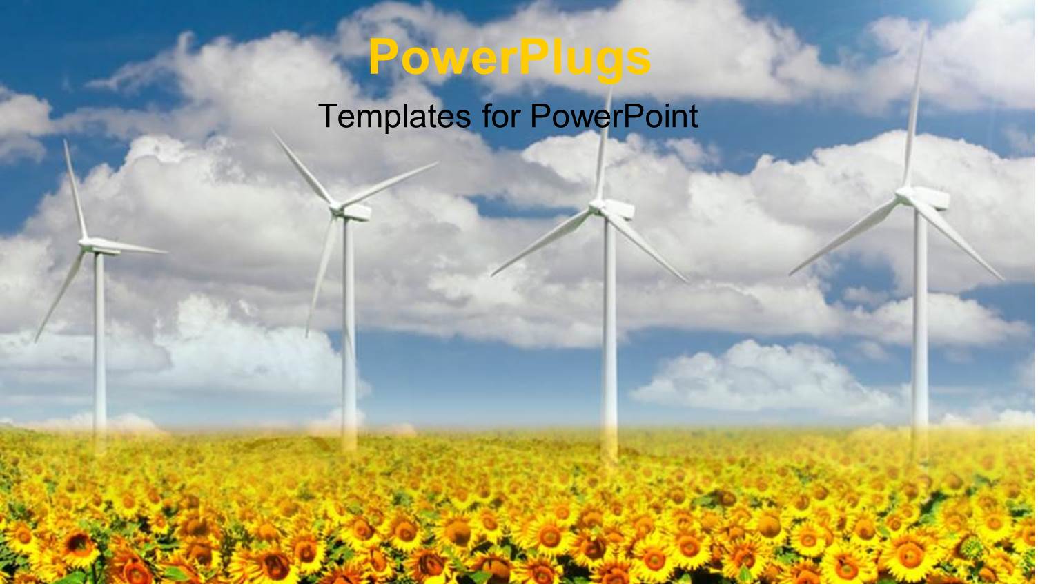 a Number of Sunflowers with Windmills