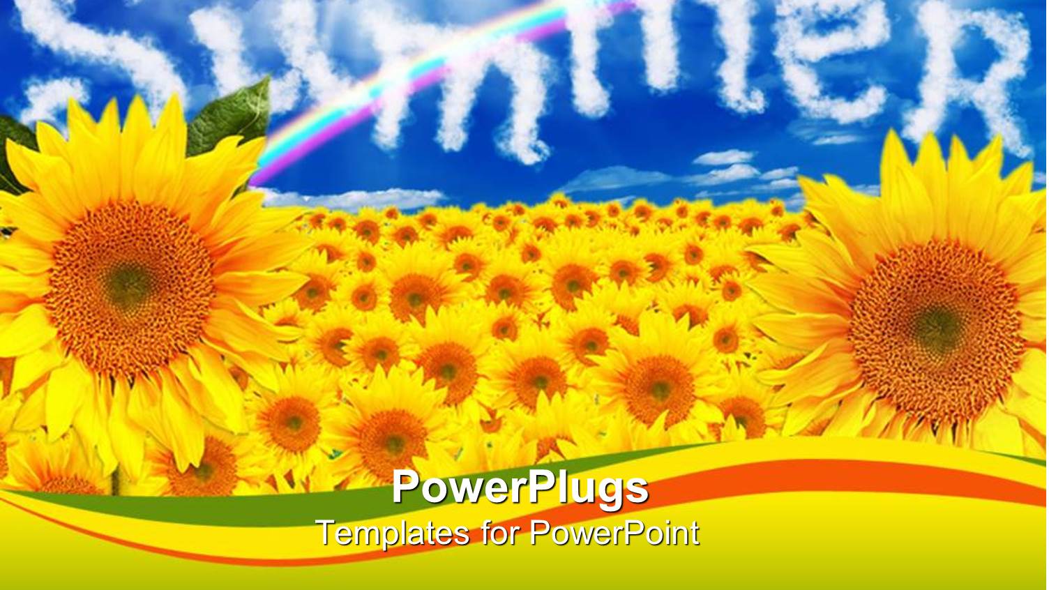 a Number of Sunflowers with the Word Summer in the Background