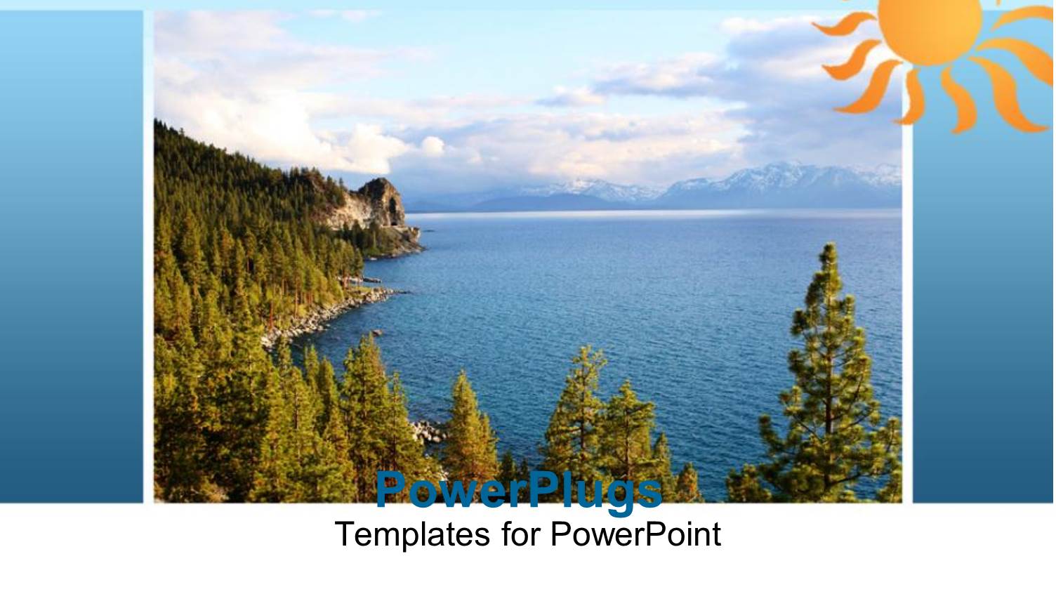 a Number of Trees on the Beach with Clouds in the Background