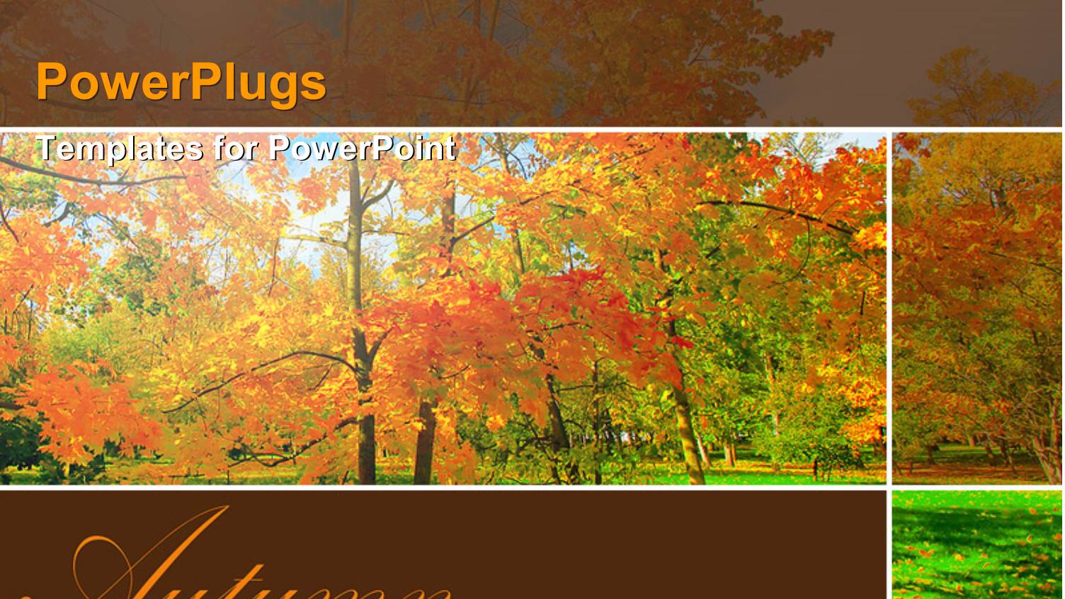 a Number of Trees During the Fall