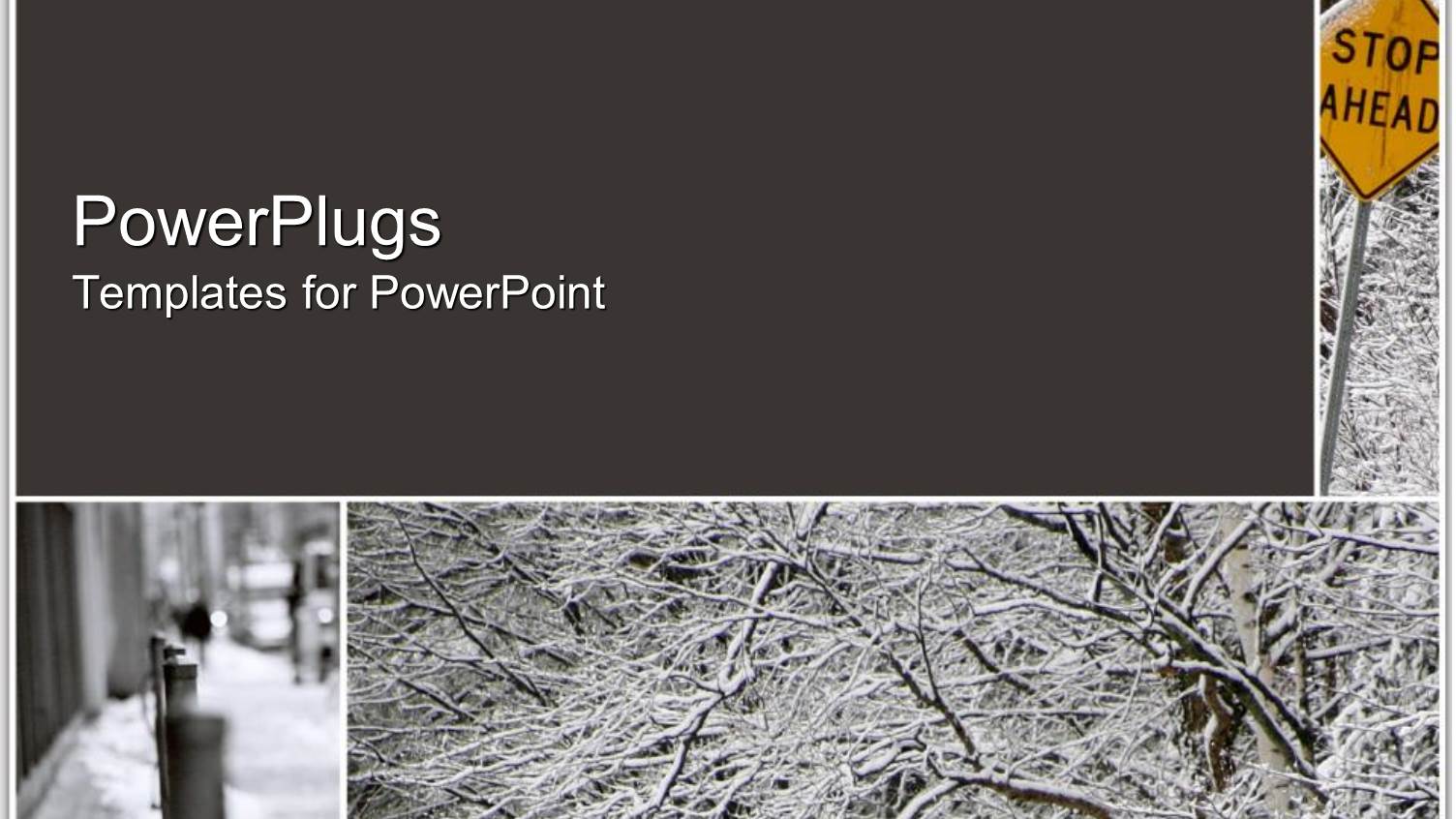 a Number of Trees in the Fall