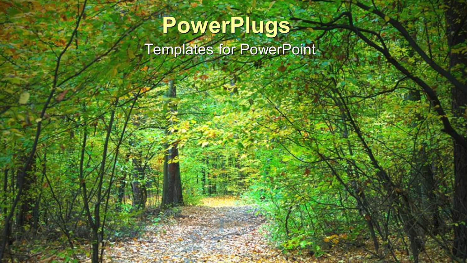 a Number of Trees in a Forest