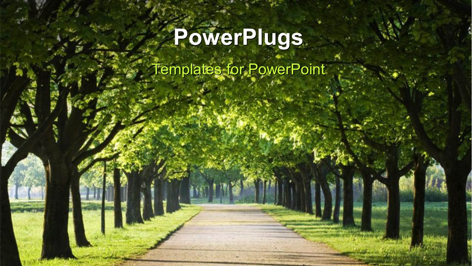 a Number of Trees with a Road