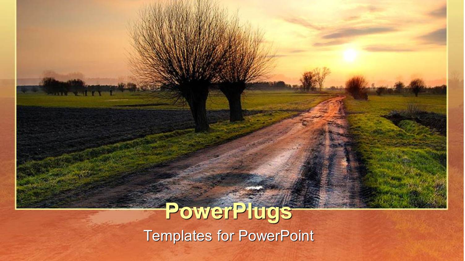 a Number of Trees and the Sun in the Background