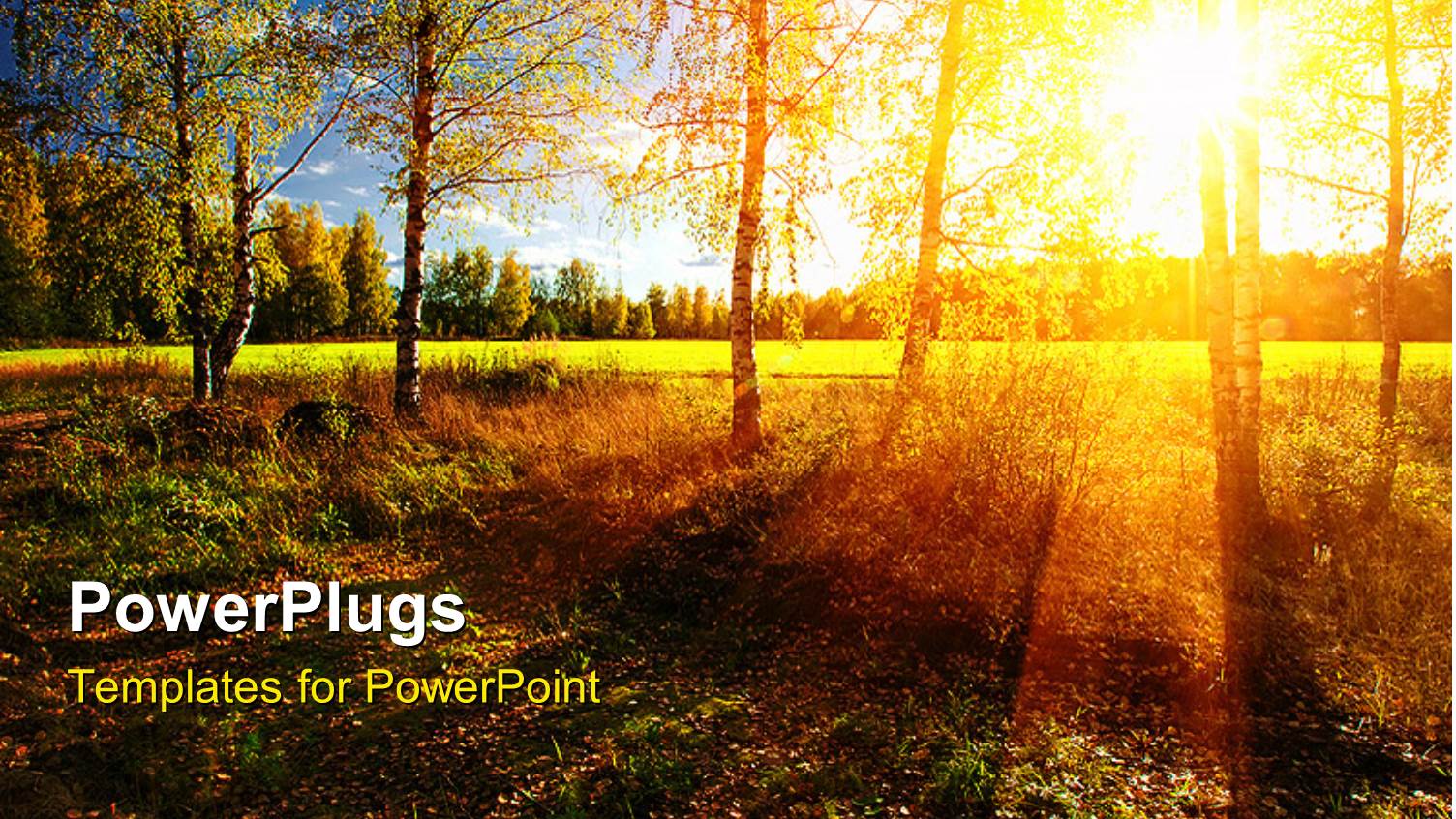 a Number of Trees with Sunshine