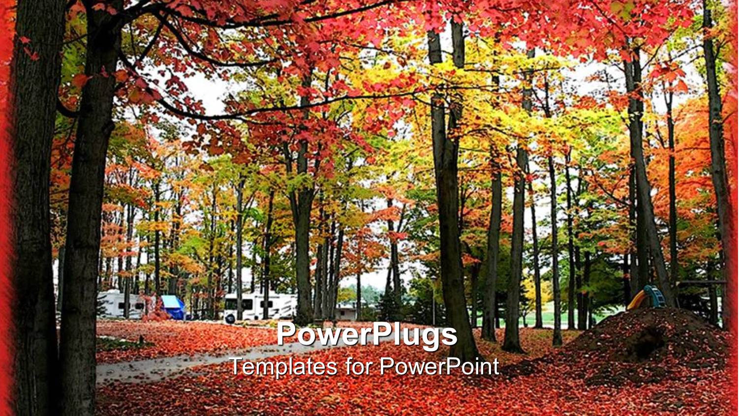 a Number of Trees Together in Autumn Season