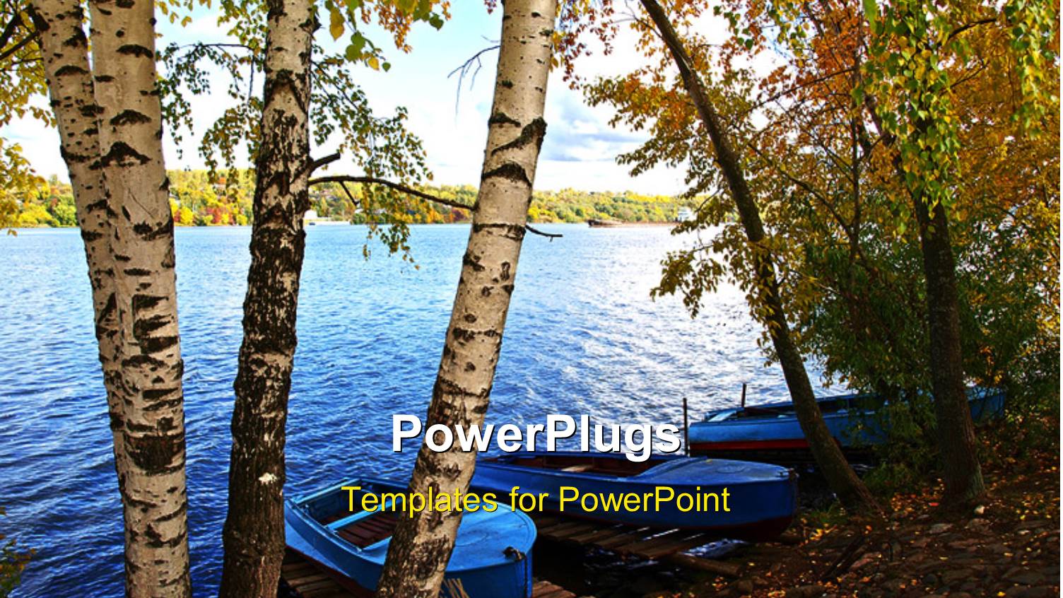 a Number of Trees with Water in Background