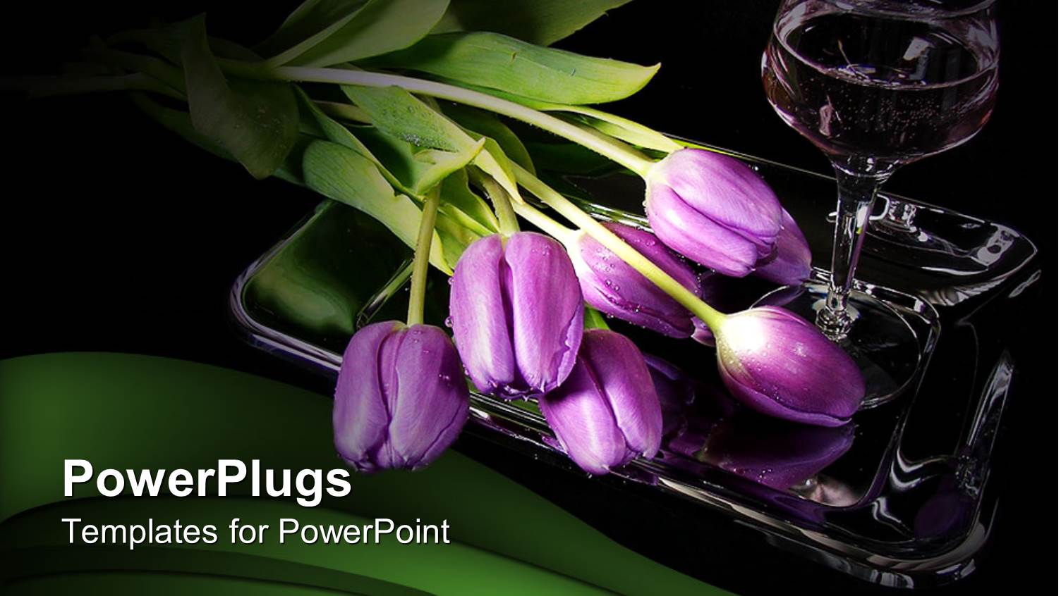 a Number of Tulips in the Water