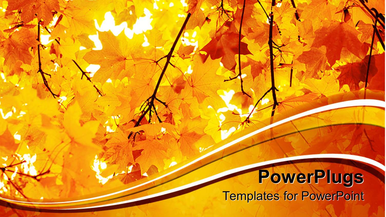 a Number of Yellow Leaves During the Fall Season