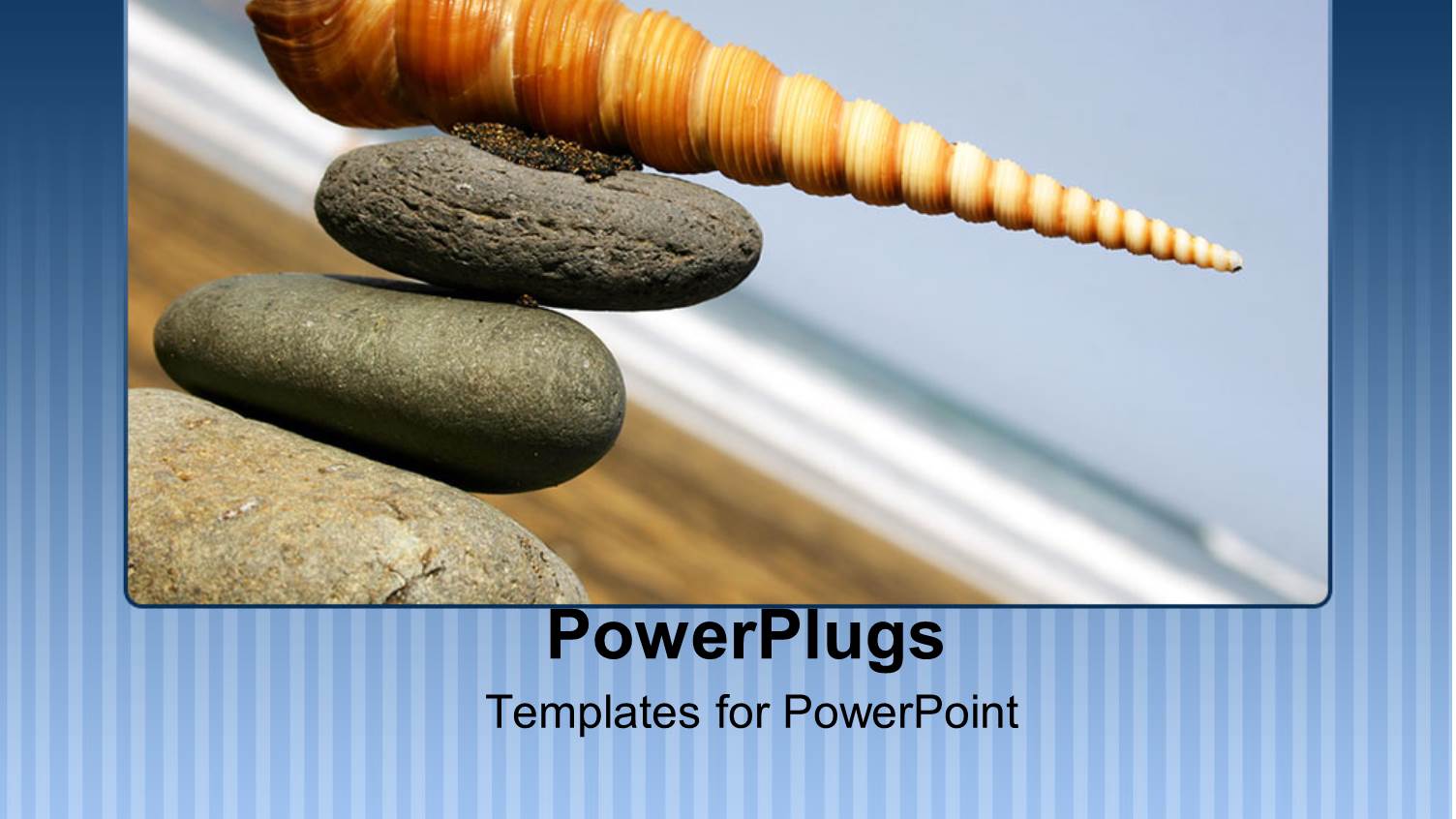 a Number of Zen Stones and Spiral Shell