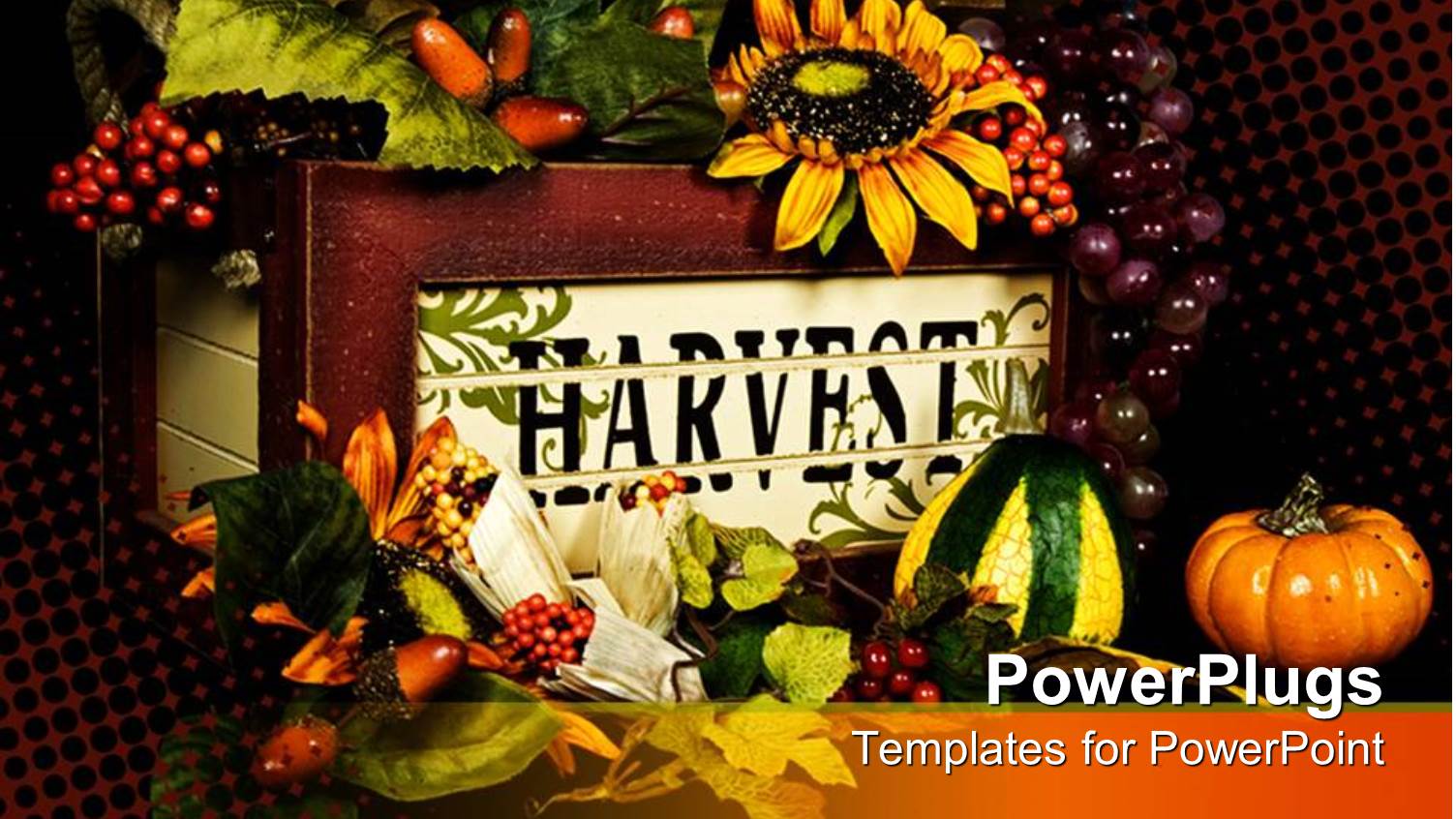 Old Wooden Box with Harvest Word on it, Filled with Fruits, Sunflowers, Pumpkins, Grapes