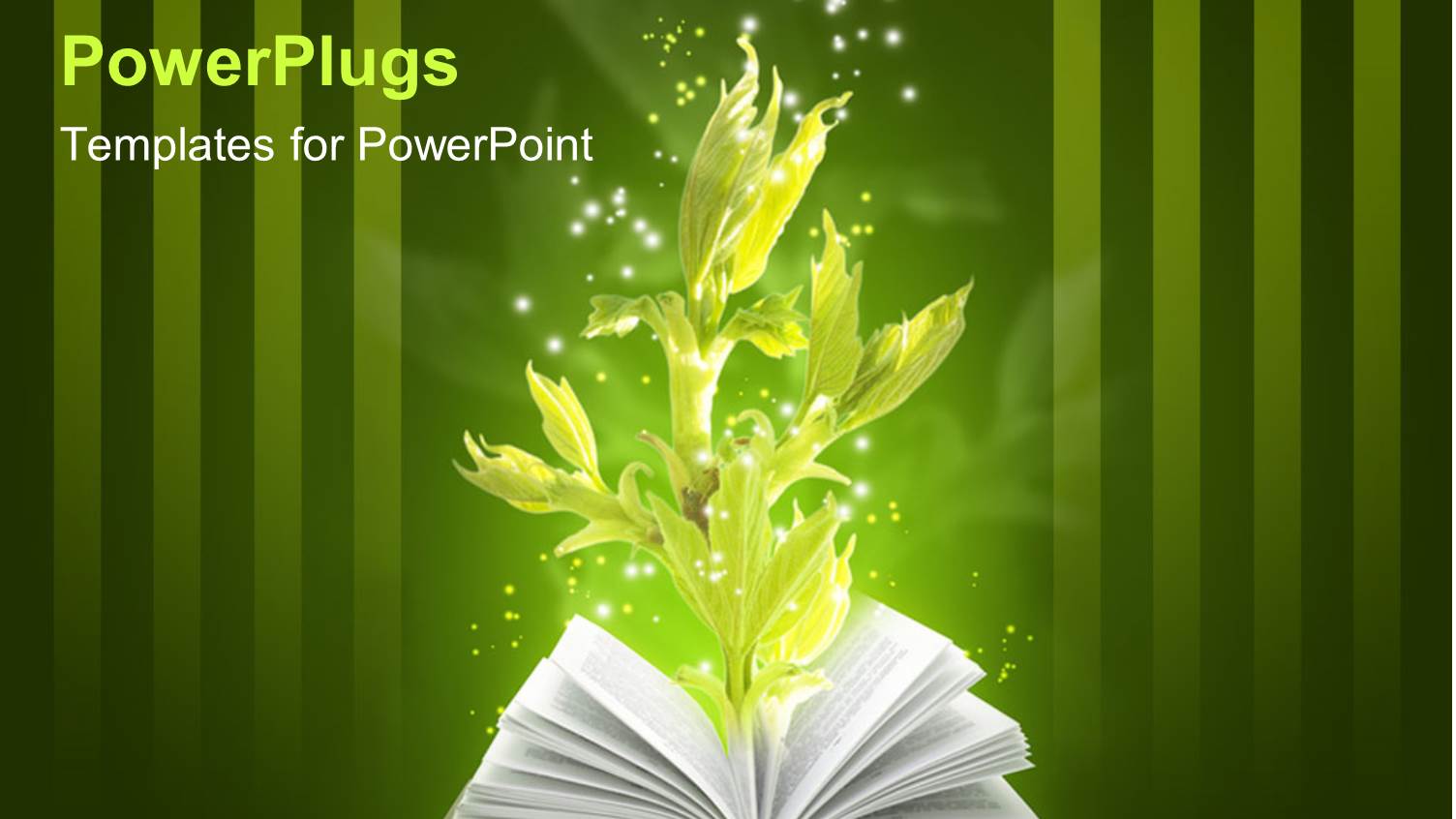 an Open Book with a Green Plant Growing from it