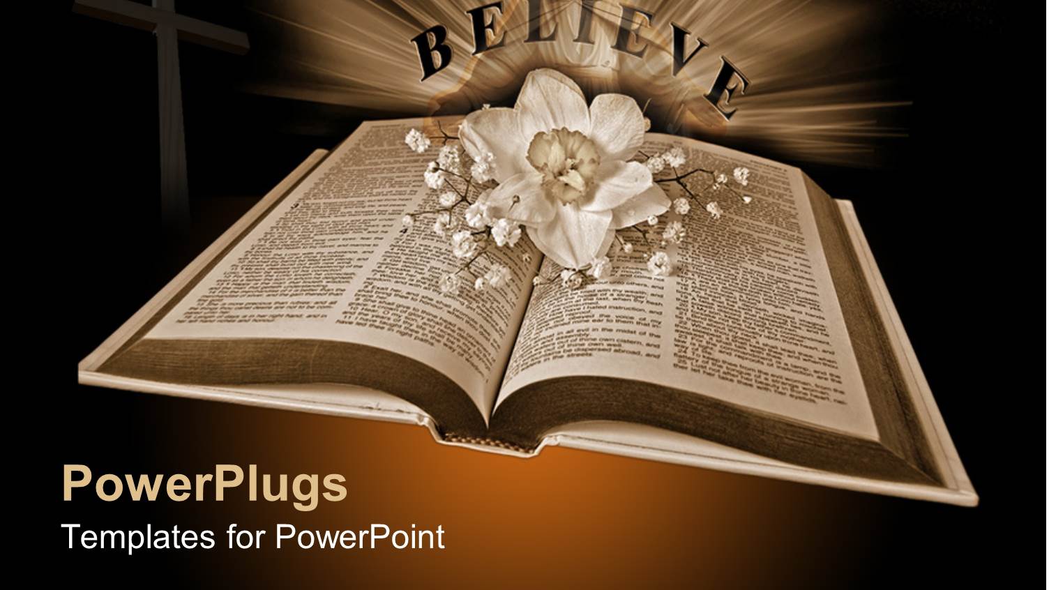 Open Holy Bible with Flower and BELIEVE Written in Brown Background