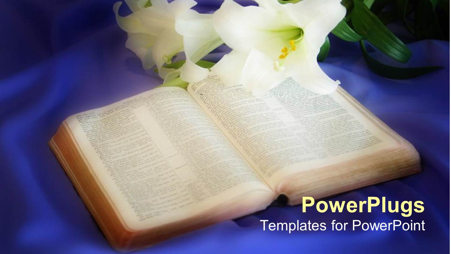 Opened Bible with Lilly Flowers on Blue Silk Background