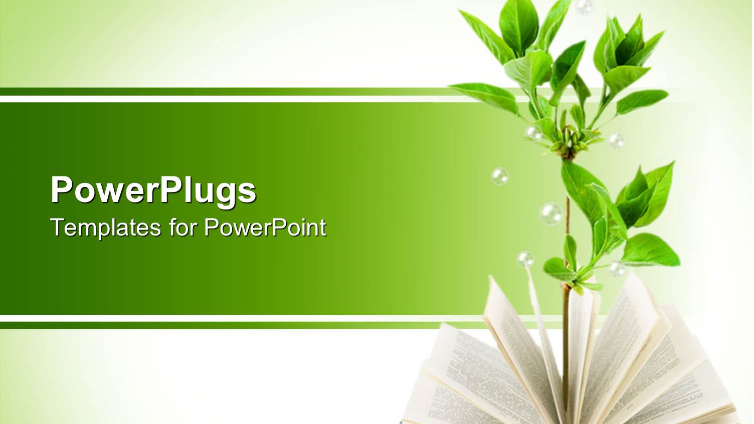 Opened Book with Green Plant Growing Out of the Book's Pages on Light Green Background