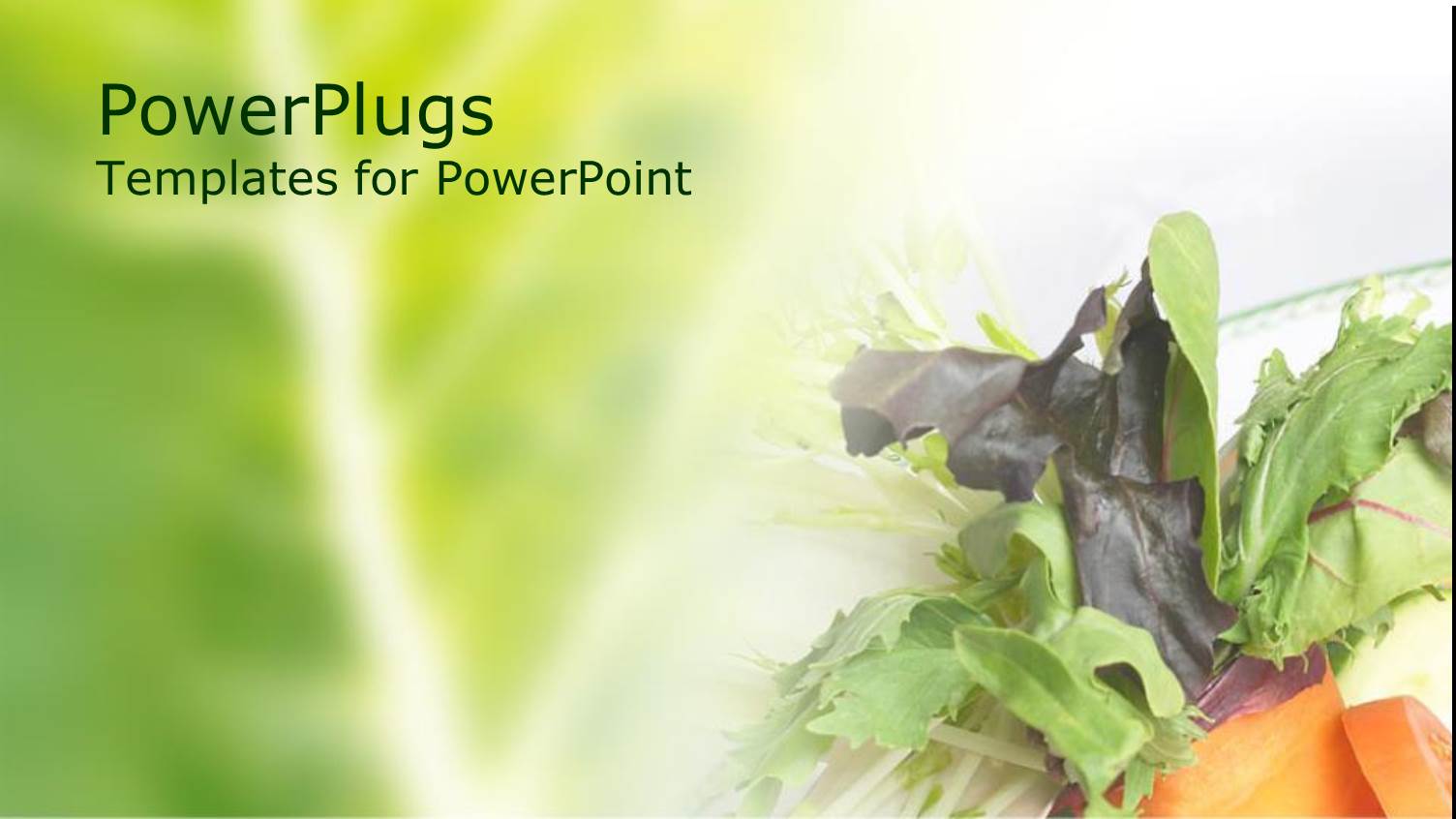 Orange Carrot on Green and White Background