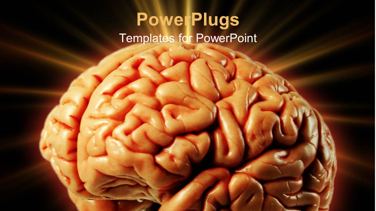 Orange Colored Human Brain Sparkling with Black Background 