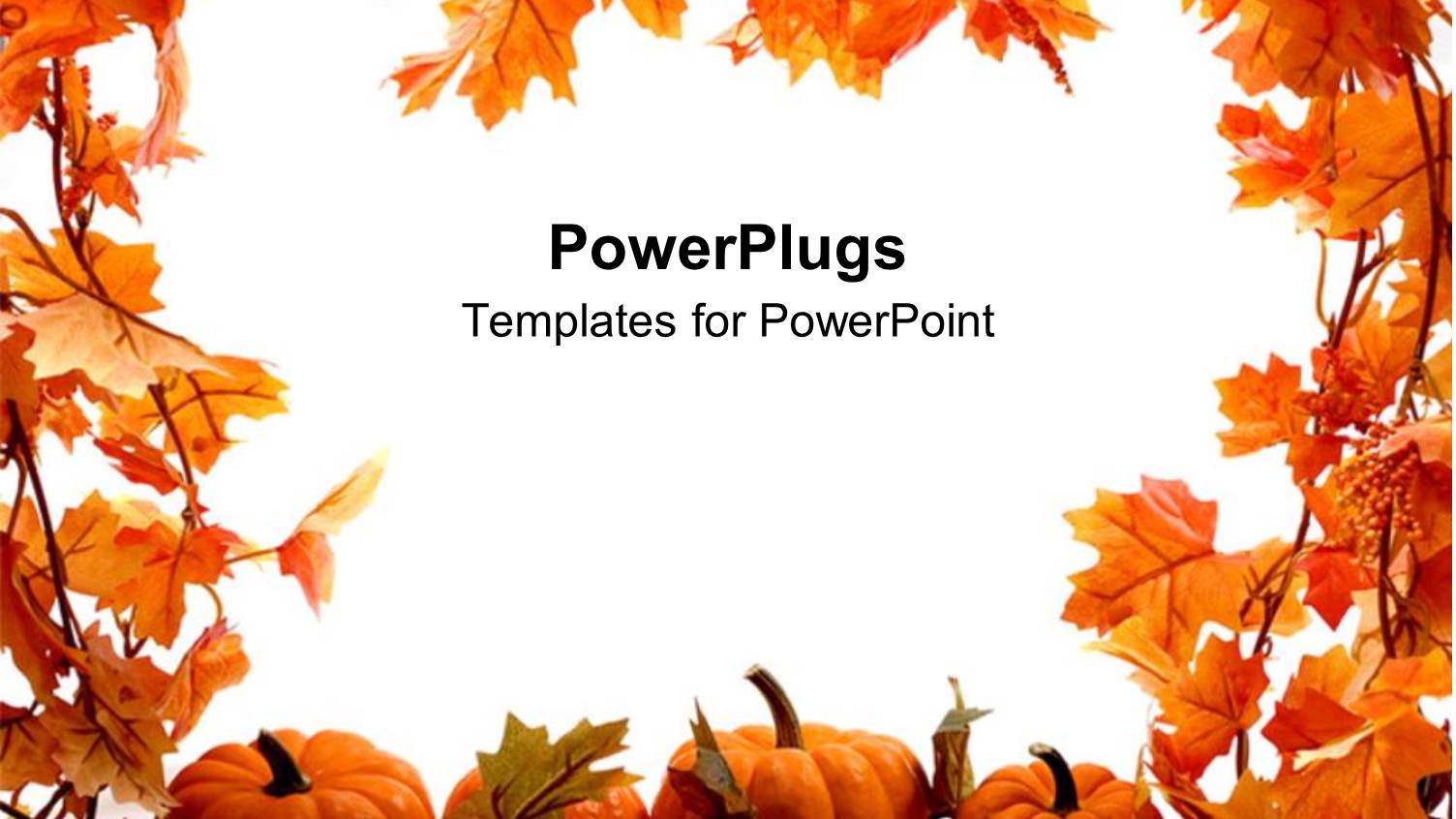 Orange Pumpkins and Leaves for Autumn Festival Holidays on a White Background