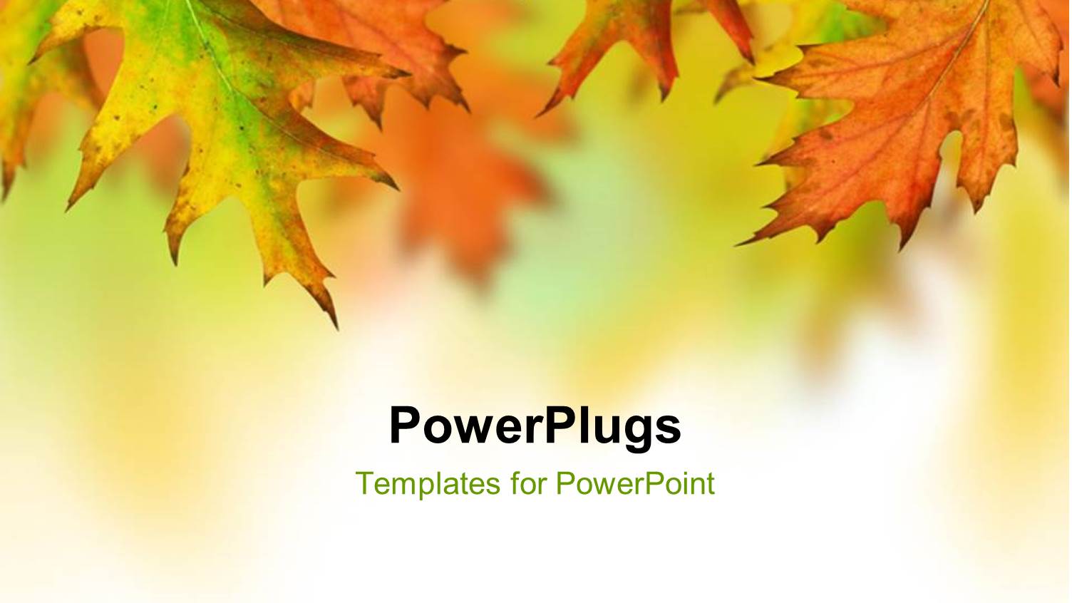 Orange, Yellow, Green Autumn Leaves with Space for Text