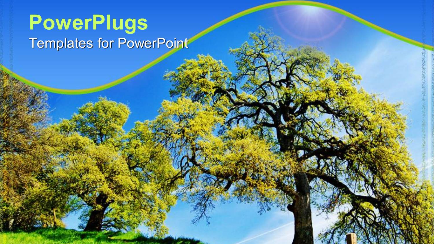 Outdoor Landscape with Trees, Path and Grass Under Blue Sky, Nature