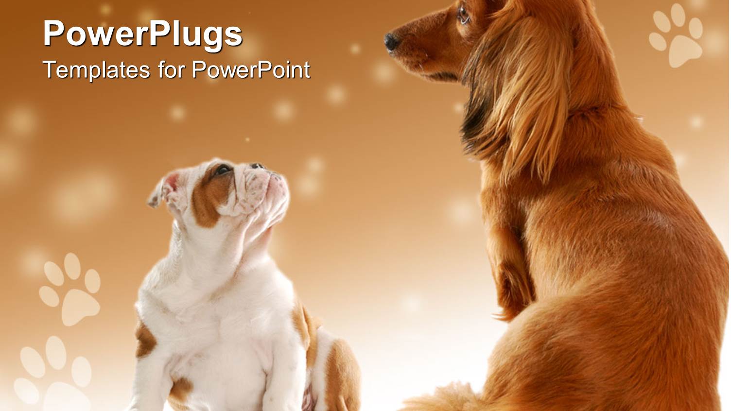 a Pair of Dogs with Footprints in the Background