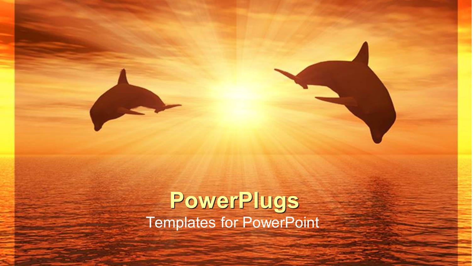a Pair of Dolphins with Sun in the Background