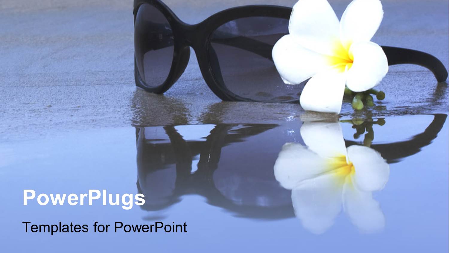 a Pair of Glasses on a Wet Ground and a White Flower