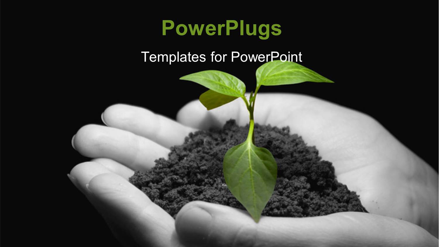 a Pair of Hands Holding the Newly Born Plant with Blackish Background