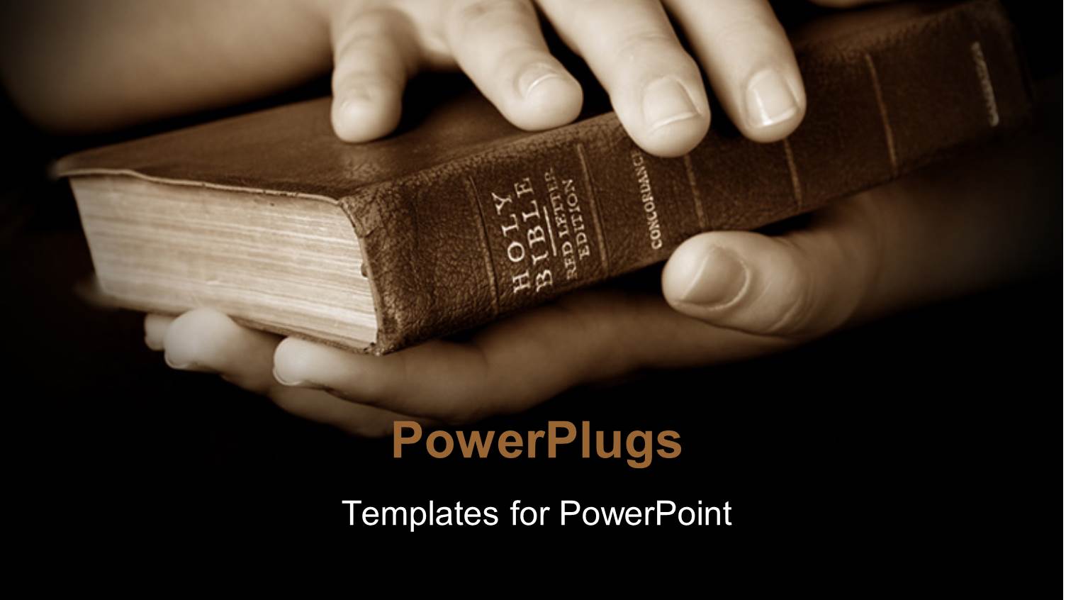 Pair Hands Holding Well Read Holy Bible