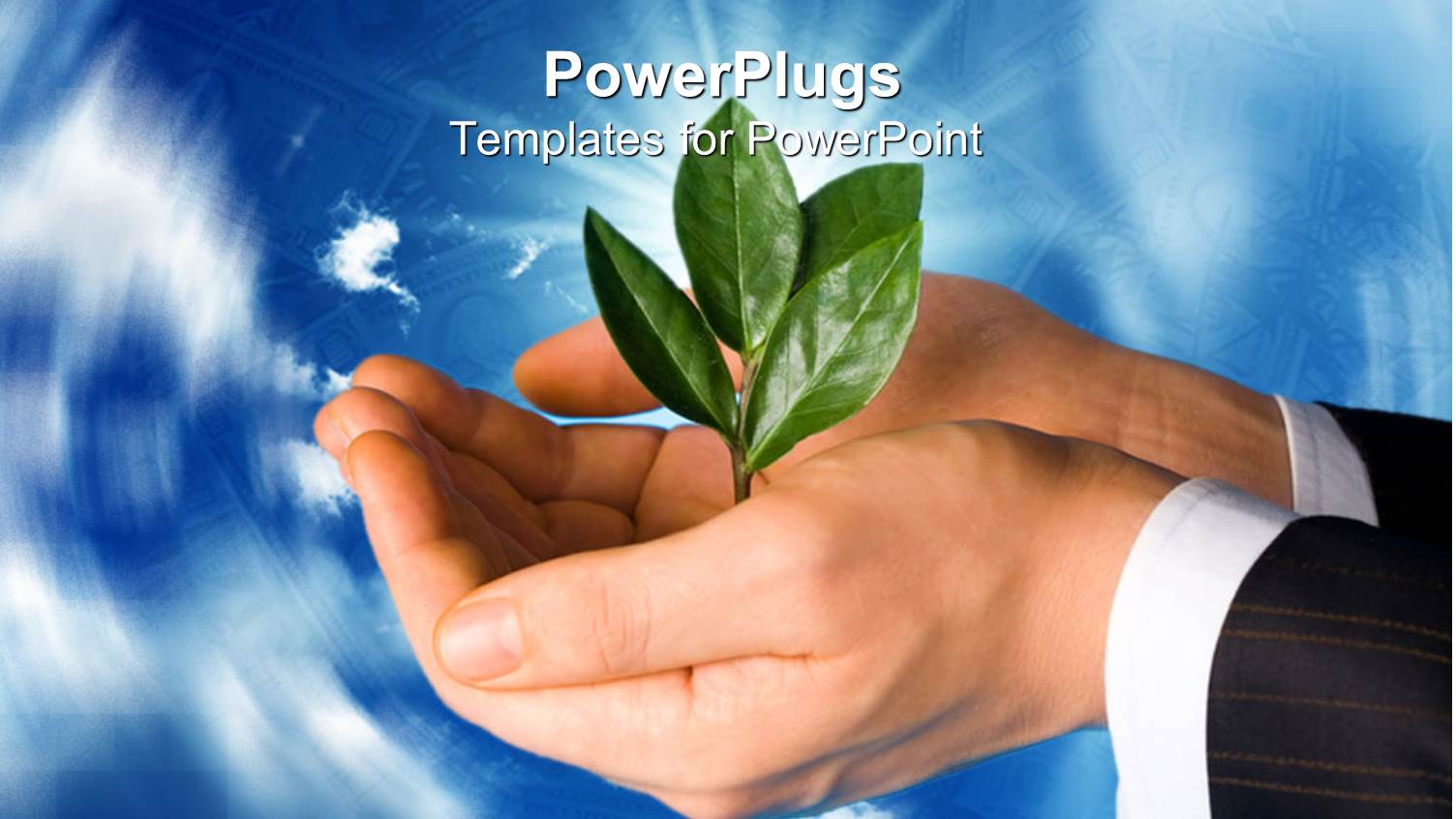 a Pair of Hands with a Plant and Sky in Background