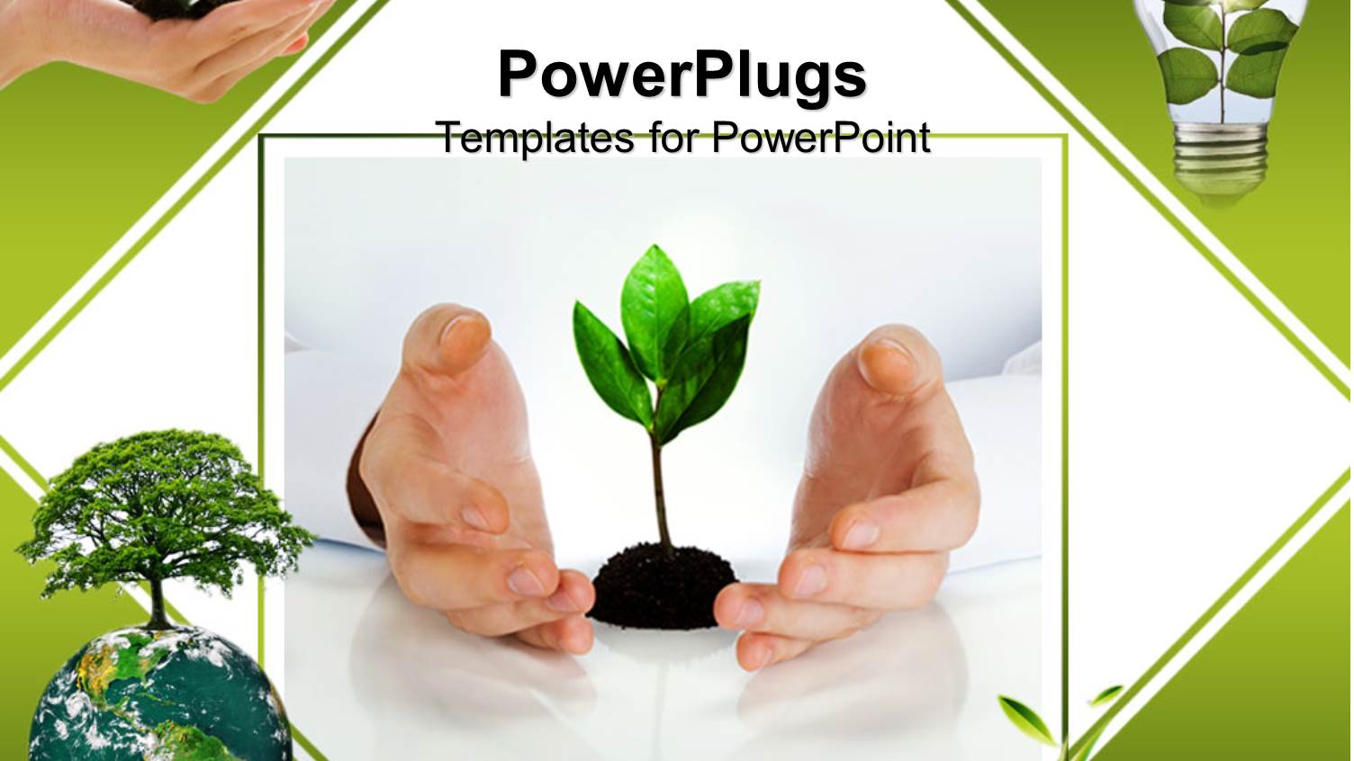 a Pair of Hands Protecting a Plant