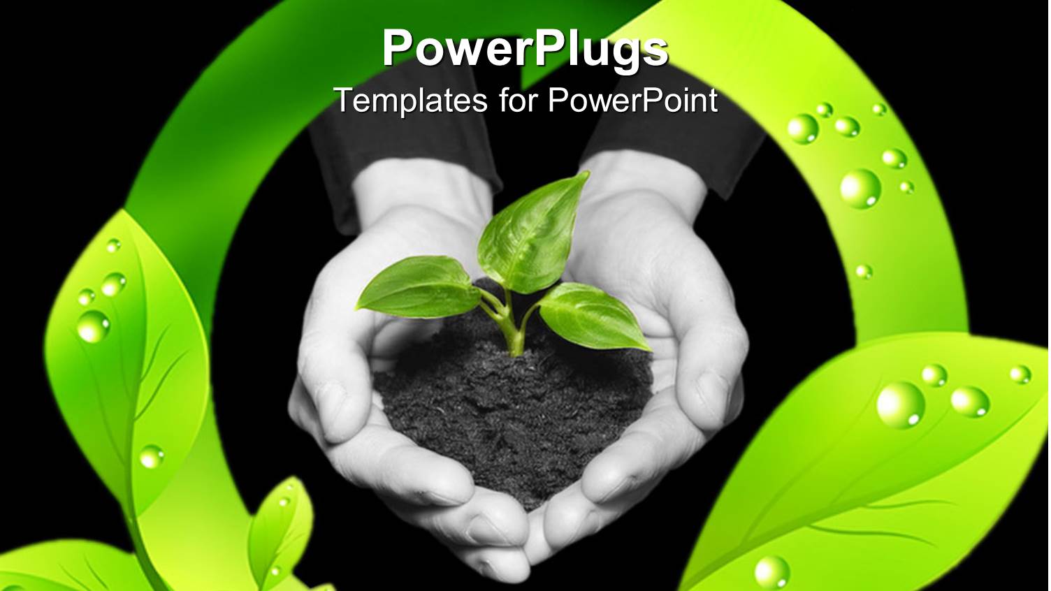 a Pair of Hands Protecting a Plant with Green Circle