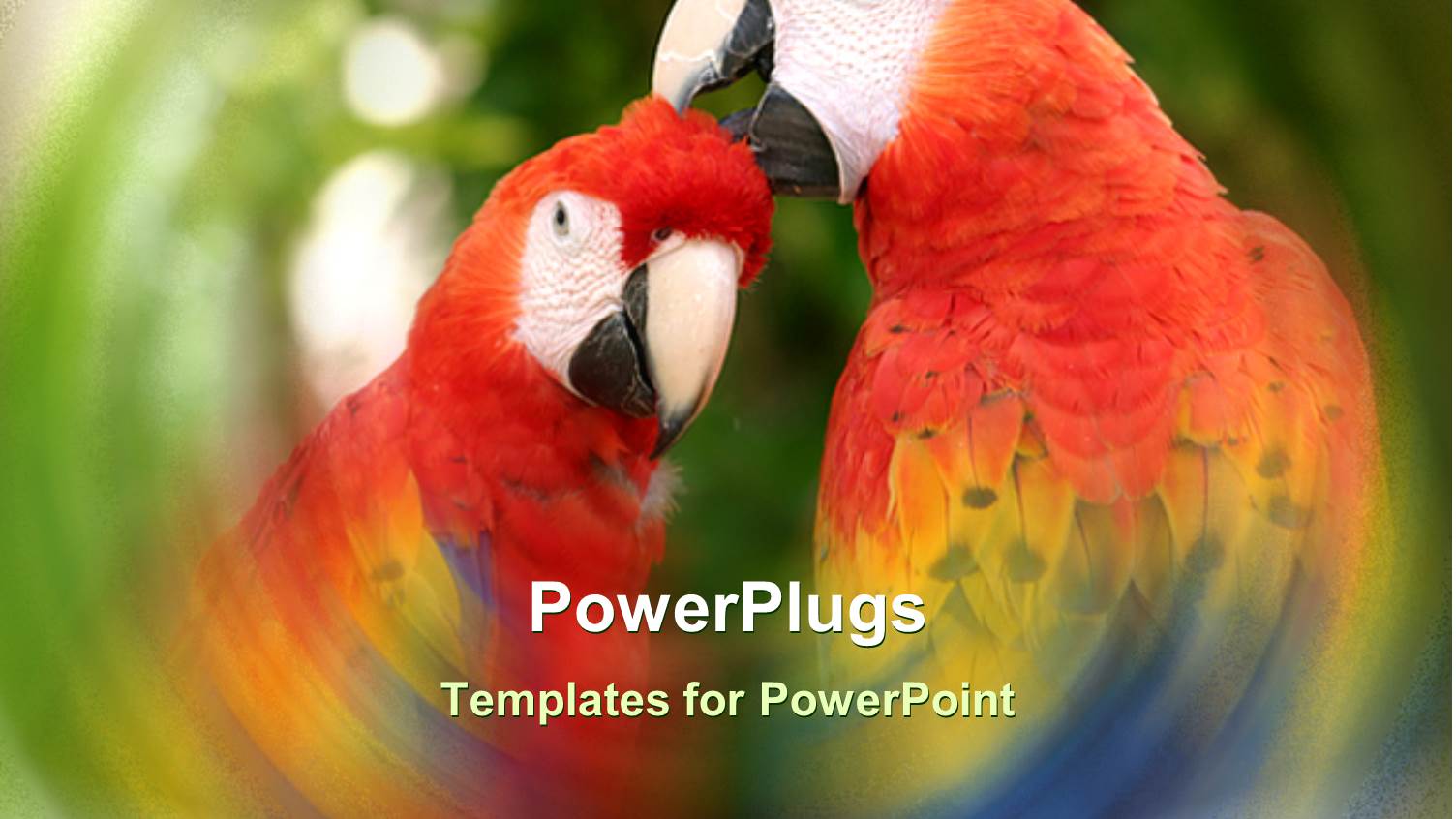 a Pair of Parrots with Greenery in the Background