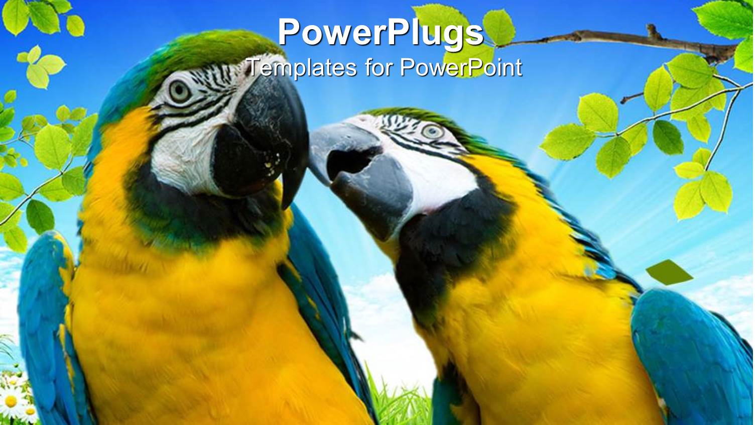 a Pair of Parrots with Leaves in the Background