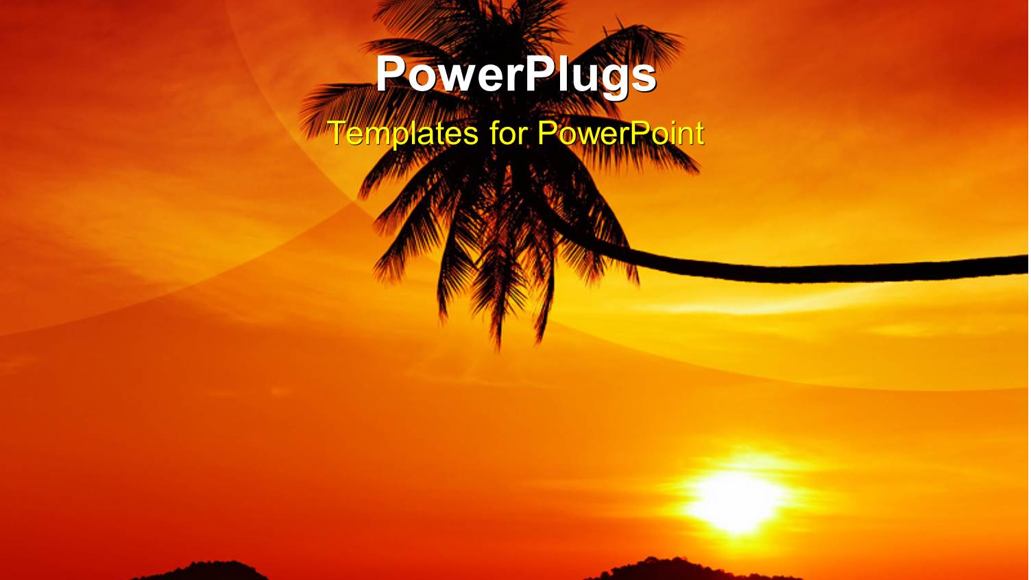 Palm Growing with Sunset Over Tropical Island and Reflection in Water