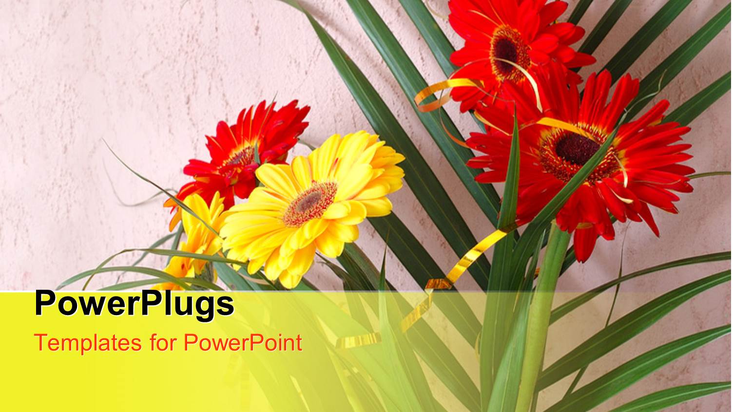 Palm Leaves with Red and Yellow Daisies on Rough Background